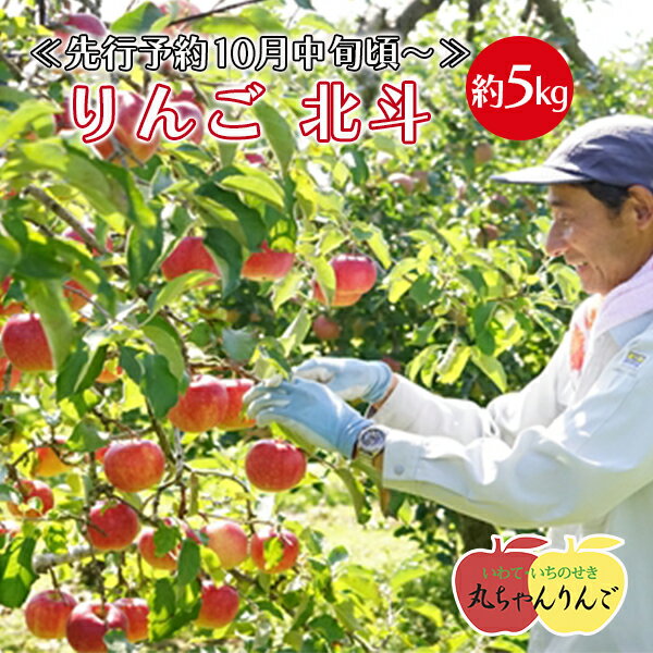 【ふるさと納税】家庭用 りんご 北斗 約5kg リンゴ 林檎 果物 フルーツ 岩手県 一関市 ≪先行予約10月中旬頃～順次発送≫