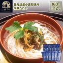 【ふるさと納税】北海道産小麦粉使用 稲庭うどん 160g×12袋