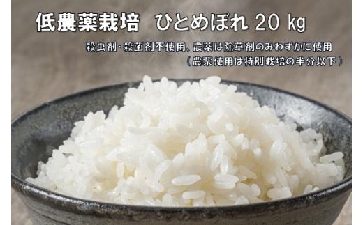 
低農薬栽培米 ひとめぼれ 20kg(5kg×4)
