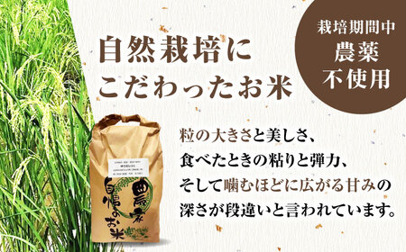 栽培期間中農薬不使用 令和6年産 佐賀県産ゆうだい21精米（無洗米）10kg/鶴ノ原北川農園[UDL028]