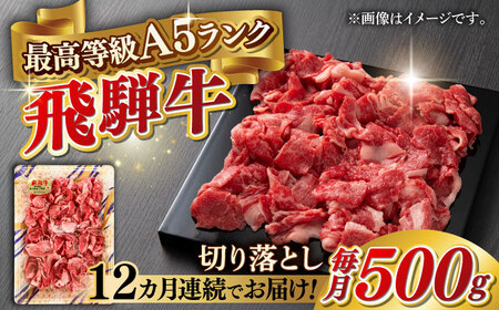 【12回定期便】A5等級 飛騨牛 切り落とし 500g ブランド牛 最高級 A5ランク 岐阜市 / 三心[ANGY014]