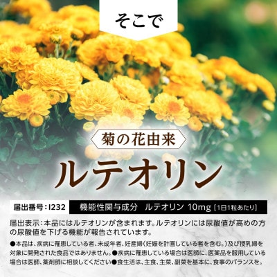 ルテオリンサプリメント キニシナイトGOLD尿酸値ケア 30日(30粒)【1632004】