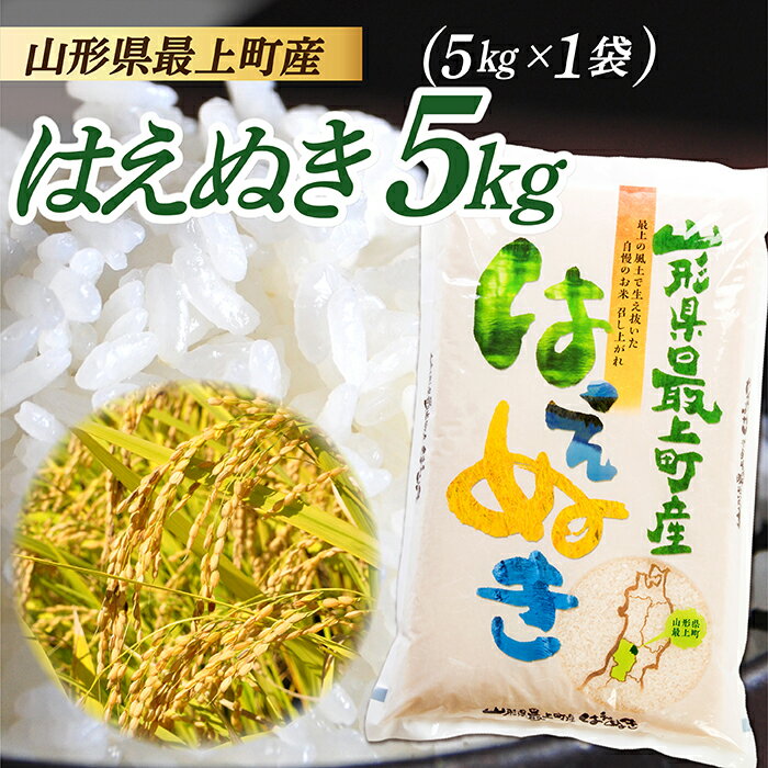 【ふるさと納税】【令和7年産】山形県産 はえぬき 5kg (5kg×1袋)