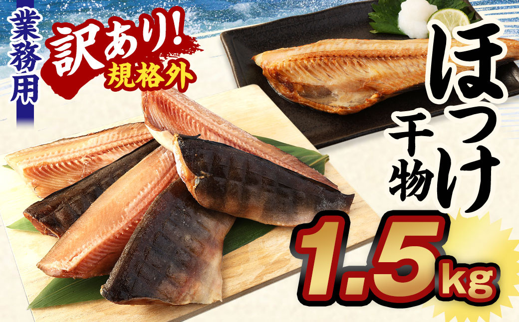 
【訳あり規格外】業務用 ほっけ干物 1.5kg 干物 ホッケ 縞ほっけ ほっけ
