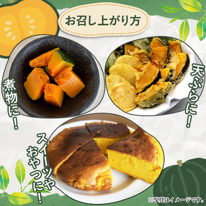 ＜先行予約受付中！2025年5月以降発送予定＞鹿児島県産 えびすかぼちゃ(約5kg) 国産 野菜 かぼちゃ カボチャ 南瓜 煮物 天ぷら バーベキュー BBQ スイーツ お菓子 期間限定【松永青果】a