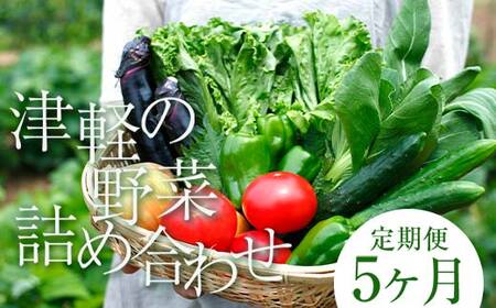 《定期便》 津軽の季節の野菜詰め合わせセット 【5ヶ月連続】 【中泊町特産物直売所ピュア】 F6N-100