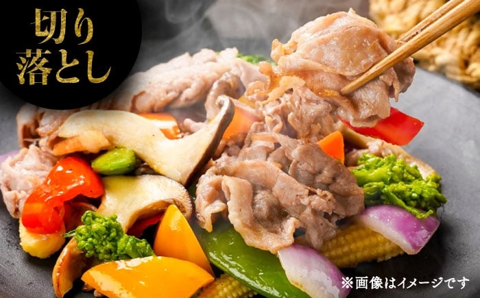 豚肉 ぶたにく ぶた肉 ブタ肉 ブタ ポーク 冷凍 ブランド ブランド豚 菊陽 熊本