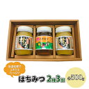 【ふるさと納税】はちみつ セット 2種 レンゲブレンド 500g×2個 野山のハチミツ 500g×1個 詰め合わせ 食べ比べ 蜂蜜 ハチミツ　【朝倉市】