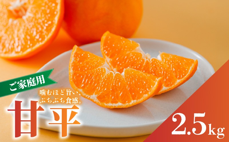 
                  【2027年2月上旬から順次発送】 甘平  家庭用 約2.5 kg Sから4Lサイズ混合 |  かんぺい カンペイ 柑橘 みかん 蜜柑 果物 くだもの フルーツ おすすめ 国産 お取り寄せ グルメ ギフト 期間限定 数量限定 ご当地 愛媛 松山
                