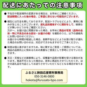 山一ファームの『クインシーメロン』1個入り