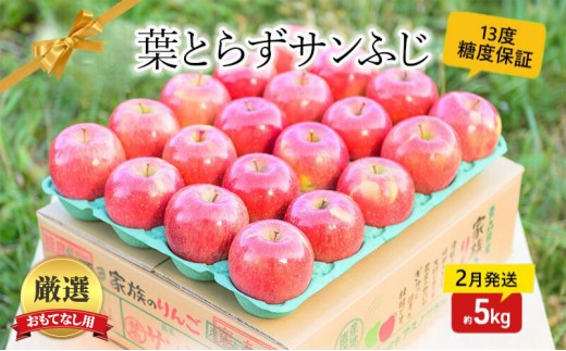 
                  【 2月発送 】 糖度13度以上 おもてなし用 家庭用 葉とらず サンふじ 約 5kg 【 青森りんご 】 果物 フルーツ デザート 食後 青森県産 産地直送
                