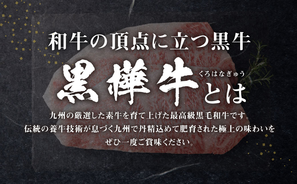 九州産黒毛和牛 杉本本店 黒樺牛 A4~A5等級 肉厚サーロインステーキ 300g×2 計600g