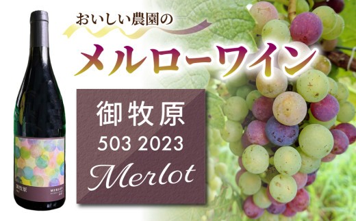 メルローワイン「御牧原503」1本｜おいしい農園　長野ワイン とうみワイン