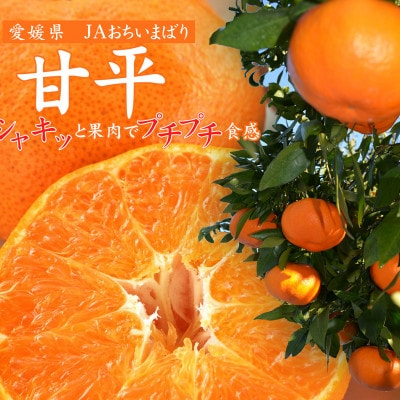 
            ＜先行受付＞甘平(かんぺい)化粧箱　4L～2Lサイズ　8～12玉　愛媛県JAおちいまばり【1439146】
          