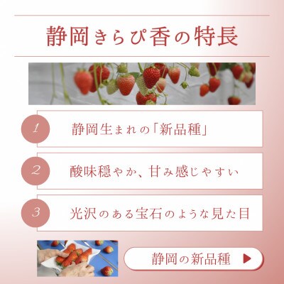 【2027年先行受付】静岡県磐田市 いちご きらぴ香 約260g×4パック【配送不可地域：離島・北海道・沖縄県】