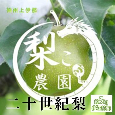 【ふるさと納税】信州産 梨 二十世紀梨 約5kg（14玉前後） 先行予約 フルーツ 果物 長野 長野県産 信州産 デザート おすすめ 特産 産地直送 　お届け：2025年9月上旬～下旬ごろ