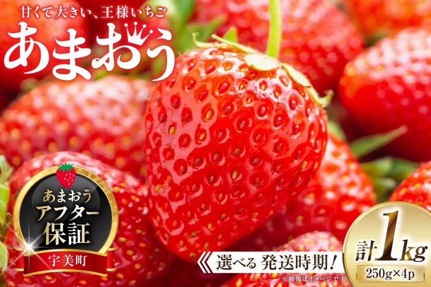 
            期間限定 いちご あまおう 250g×4パック 選べる発送月 [増田青果 福岡県 宇美町 um40beq650000] 先行予約 苺 イチゴ フルーツ 果物 果実 甘い あまい 季節限定
          
