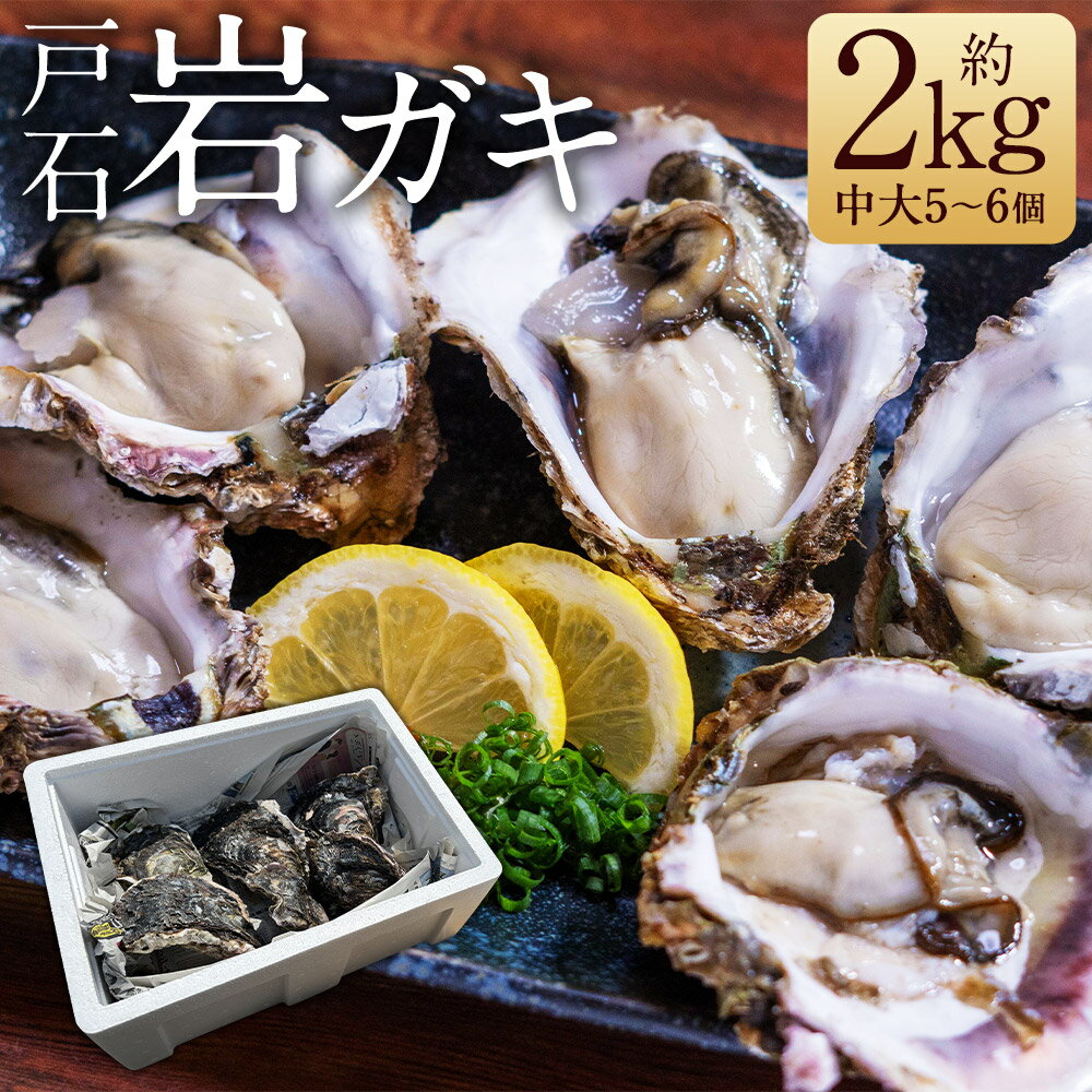 【ふるさと納税】戸石岩ガキ 生食用 約2kg 中大5～6個 殻付き 軍手・カキナイフ付き カキ 牡蠣 貝 貝類 海鮮 長崎市産 九州産 冷蔵 送料無料