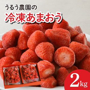 【2027年1月より順次発送】うるう農園の冷凍あまおう2kg_あまおう 2kg 冷凍 甘い 濃厚 新鮮 いちごの王様 うるう農園 いちご 果物 アレンジ おやつ フルーツ スイーツ スムージー ジャム アイス けずり苺 お取り寄せ お取り寄せグルメ 福岡県 久留米市 送料無料 〔Fi204〕