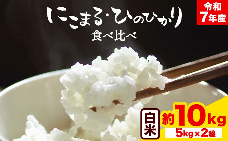 
                  令和7年産 米 にこまる ひのひかり 食べ比べ 約10kg ( 各 5kg ) こめ コメ 白米 上田農園《30日以内に出荷予定(土日祝除く)》 熊本県 荒尾市 
                