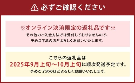 新高梨 5kg