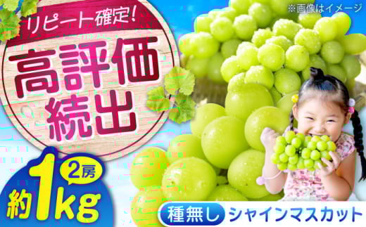 【限定1000セット】沼隈ぶどう シャインマスカット 約1kg(2房) 9月上旬〜9月下旬頃発送 福山市/福山市農業協同組合 2025年先行予約 数量限定 期間限定 ぶどう ブドウ 葡萄 種なし たねなし 大粒 マスカット シャインマスカット しゃいんますかっと 果物 フルーツ [BAEV005]