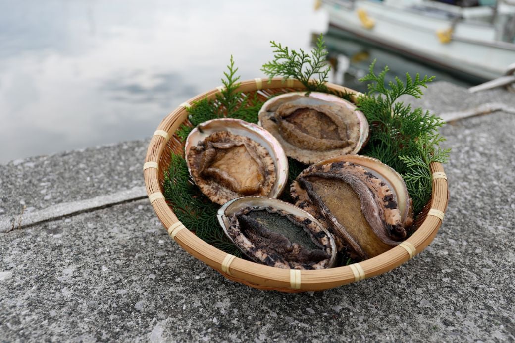
            【数量限定】佐田岬海士の黒赤あわび【4/15～10/25の漁解禁日に合わせて発送】※北海道・東北地方・沖縄・離島への配送不可 【 ふるさと納税 人気 おすすめ ランキング あわび アワビ 鮑 黒アワビ 黒あわび 赤アワビ 赤あわび 佐田岬 海鮮 新鮮 黒赤あわび 愛媛県 伊方町 送料無料 】 IKTJ014
          
