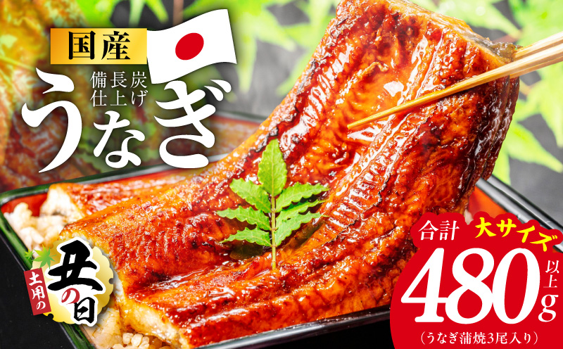 【土用の丑の日】国産うなぎ蒲焼 480g以上（大サイズ3尾）【レンチン 湯煎対応 簡単調理 鰻 ウナギ 人気総菜 日本産 特別規格 大阪 泉佐野 大阪府 泉佐野市】
