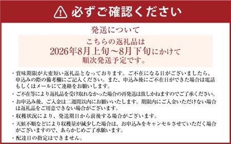 【ふるなびWEEK対象】《先行予約》｢丸坂山田農園｣ 山之上梨 幸水 1箱 （ 約2.5kg ／ 5～8玉 ） 【2026年8月上旬～8月下旬 発送予定】