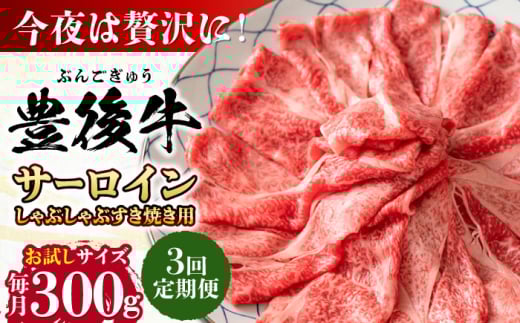 【全3回定期便】【厳選部位】おおいた豊後牛 サーロイン しゃぶしゃぶすき焼き用 300g 日田市 / 株式会社MEAT PLUS おおいた豊後牛 おおいた 豊後牛 黒毛和牛 スライス しゃぶしゃぶすき焼き しゃぶしゃぶ すき焼き 小分け サーロイン和牛 [AREI080]