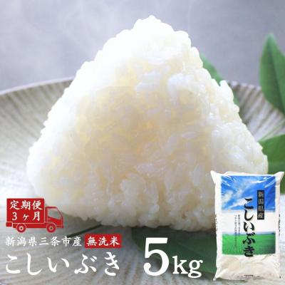 ふるさと納税 三条市 [定期便5kg×3カ月] 無洗米こしいぶき 計15kg 新潟県産 令和7年産【035S035】