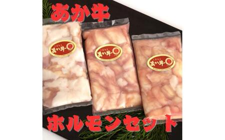 くまもとあか牛 ホルモン セット 約200g×3袋 合計約600g 【くまもと食彩の力】[AYAN029]