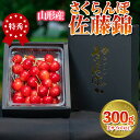 【ふるさと納税】さくらんぼ 「佐藤錦」 300g 特秀品 Lサイズ以上 山形産【令和7年産先行予約】 FS24-032 くだもの 果物 フルーツ 山形 山形県 山形市 2025年産