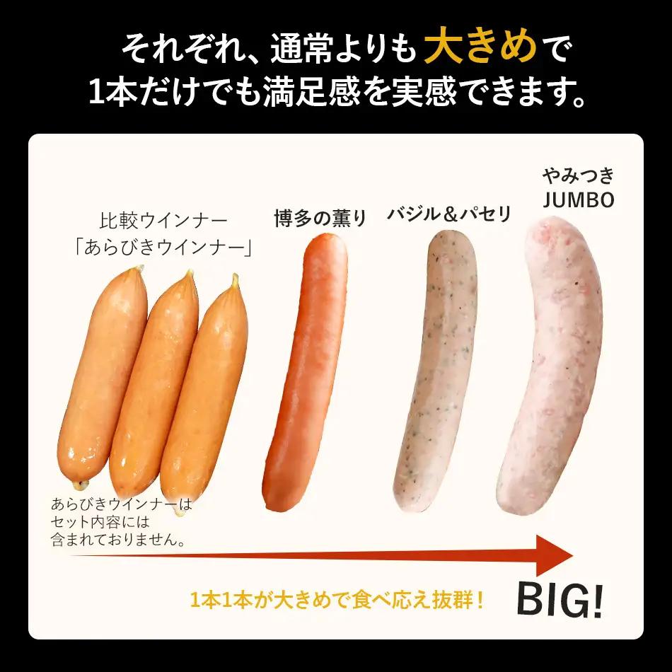 ソーセージ 訳あり！特盛！ソーセージ食べ比べまんぷく福袋 合計3.5kg！ ソーセージ 