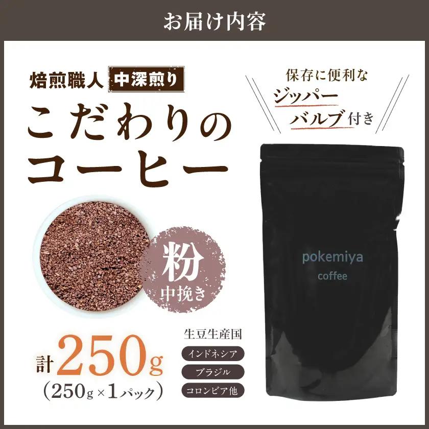 焙煎職人こだわりのコーヒー【粉】250g 小分けパック(ジッパー・バルブ付) ※中深煎り※ポスト投函≪みやこんじょ特急便≫〔LA-3302-Q〕 _(都城市) 保存に便利 珈琲