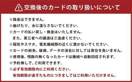 サーキット 5レースカード×3枚セット 大和レジャー スポーツプラザ ビッグバン 室内サーキット スリックカート ドリフト走行 チケット 利用券 室内 スポーツ アミューズメント 神奈川県 大和市 送