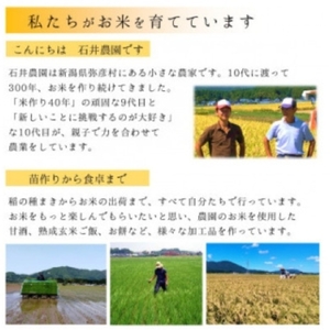 乾燥米こうじ 500g×2袋 新潟県認証特別栽培米 コシヒカリ使用 | 米麹