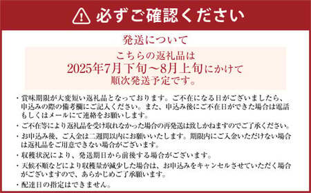 《先行予約》｢丸坂山田農園｣山之上梨 長寿 1箱 （約2.5kg／5～8玉）【2025年7月下旬～8月上旬 発送予定】│フルーツ なし 梨 果物 岐阜県 美濃加茂市