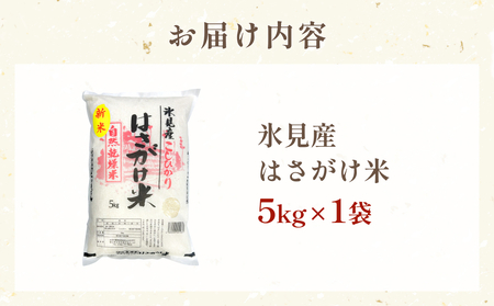 《数量限定》令和７年産 はさがけ米 精米5kg 富山県 氷見市 米 コシヒカリ こしひかり