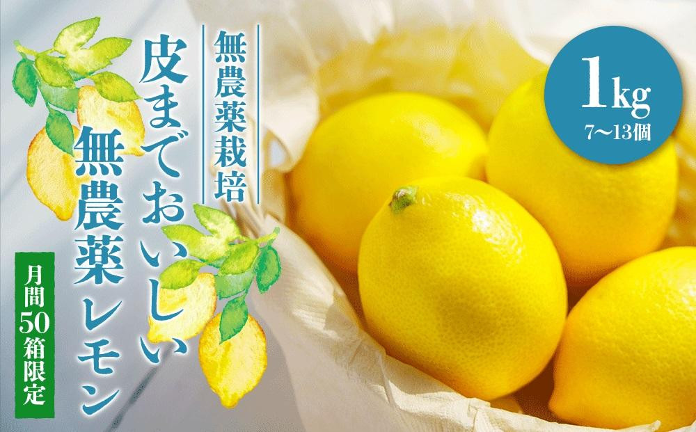 
＜先行予約＞　皮まで美味しい無農薬レモン 約1kg
