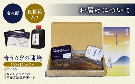 厳選 高級 青うなぎ 10尾 蒲焼 1500g 