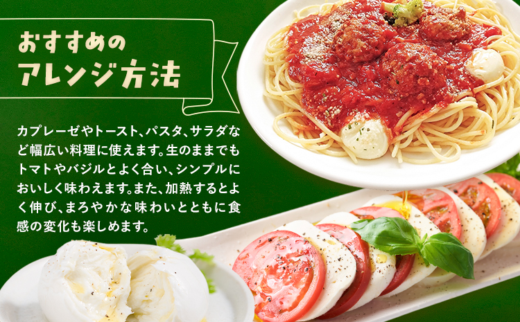 産山チーズセット モッツァレラチーズ ストラッチャテッラチーズ 株式会社UBUYAMAPLACE 4個セット《30日以内に出荷予定(土日祝除く)》---ubuyama_ubp_24_4p---