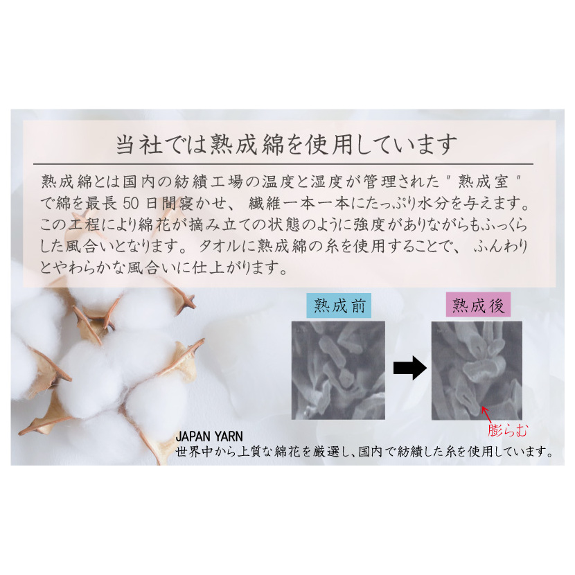 【スピード発送】普段使いにぴったりのミニバスタオル 4枚セット  ホワイト 泉州タオル【泉州タオル 国産 吸水 普段使い 無地 シンプル 日用品 家族 ファミリー】 G2218_イメージ3