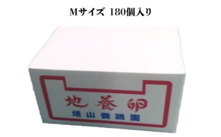 最高級 卵 地養卵 Mサイズ 180個 ＜垣山養鶏園＞ [CBB009] 