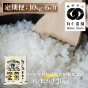 【ふるさと納税】《定期便》令和6年産 コシヒカリ 「黄金の煌き」 10kg ×6ヶ月 精白米 和仁農園 白米 金賞受賞 定期便 お楽しみ 特A[Q1607_24x]