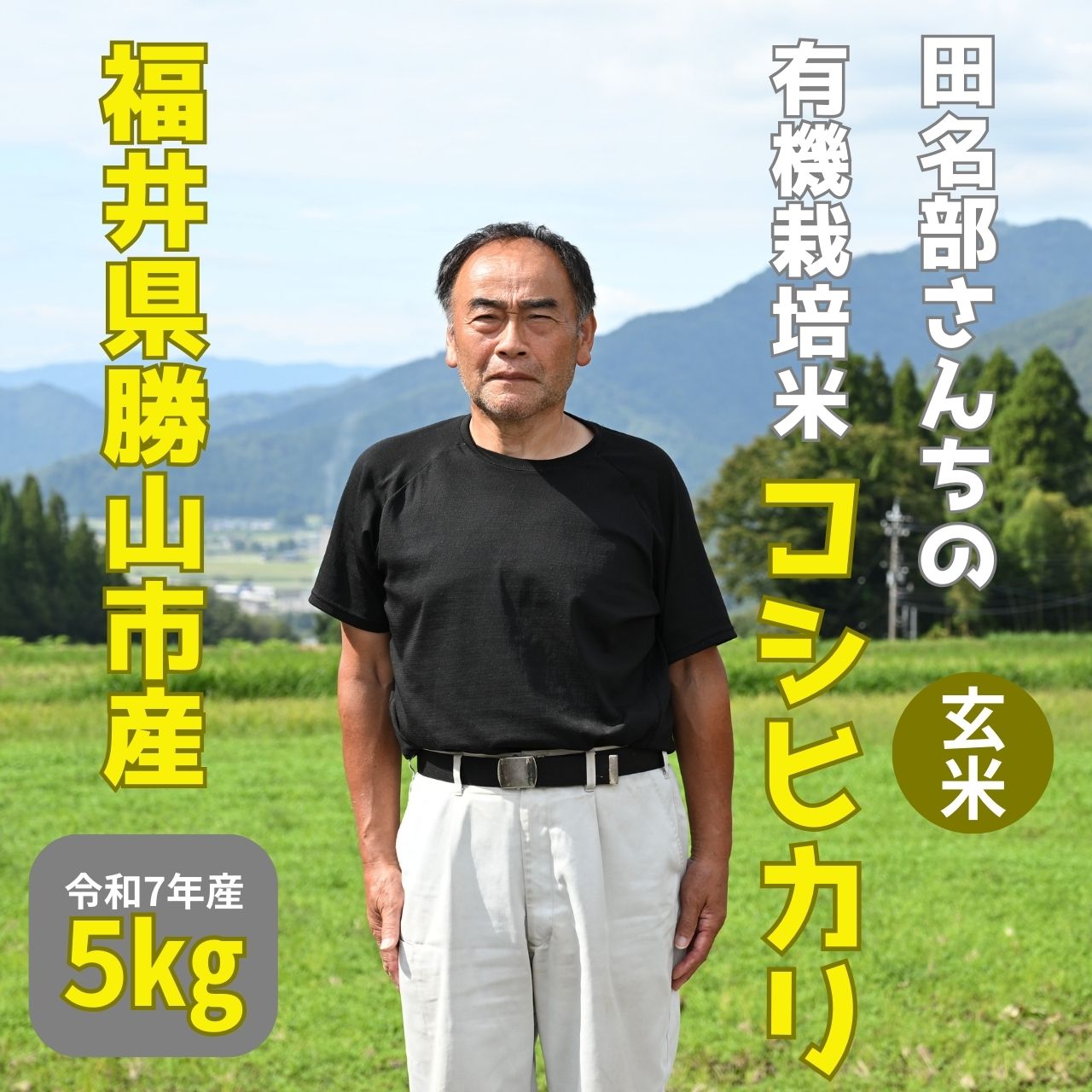 【ふるさと納税】【有機JAS認証】コシヒカリ（5kg）福井県勝山市 有機栽培米 玄米［B-092001 ］