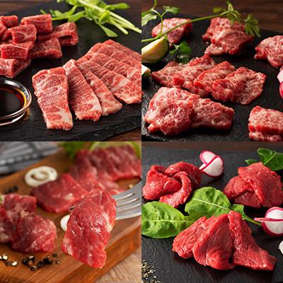 ふるさと納税 南関町 「熊本特産」フジチクオリジナル 特選馬刺しの8種セット(南関町) |  | 02