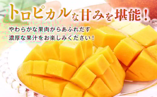 【先行予約】宮崎県産完熟マンゴー3L×2個 西都市特産品宮崎マンゴー＜1.5-132＞2026年発送