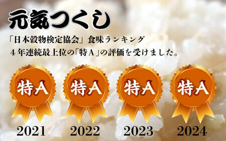 福岡県産【特A】評価のお米「元気つくし」5kg×2袋 [10kg] [玄米]《築上町》【株式会社ビーキューブ】[ABDF031] お米おすすめ お米定番 お米人気 お米お取り寄せ 美味しいお米 お米料