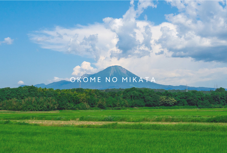 【先行予約】【10月以降発送】＜新米・令和7年産＞ おこめのみかた 鳥取県産コシヒカリ 20kg(5kg×4) 令和7年産 米 お米 白米 精米 鳥取県南部町 